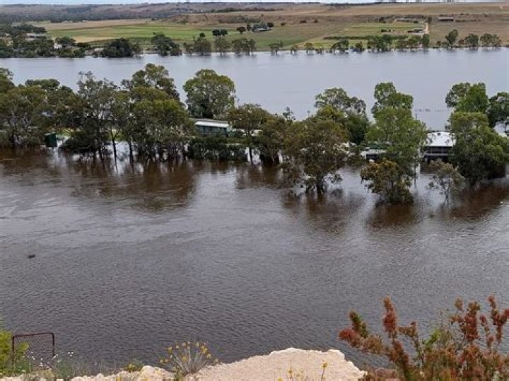 SA floods: River Murray immediately closed to all non-essential activity