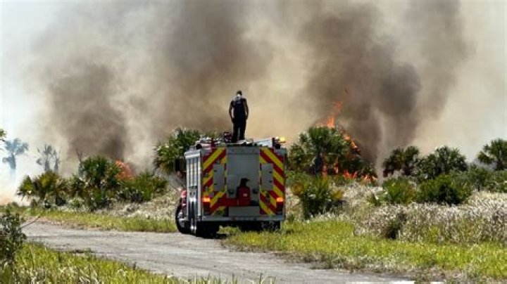 Suspicious series of brush fires in Central Maui under investigation | News, Sports, Jobs