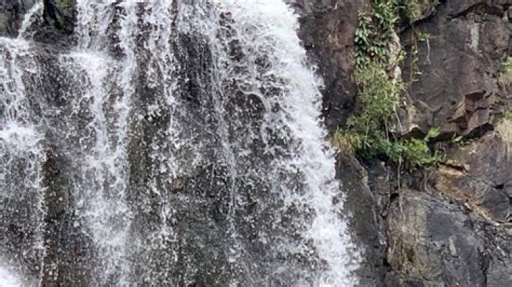 Teenager is in a critical condition after Cedar Creek waterfall plunge in Queensland