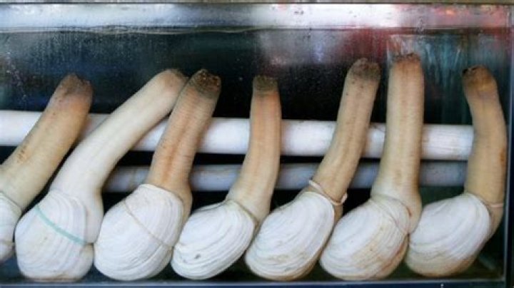 The weird food trend on the rise in China