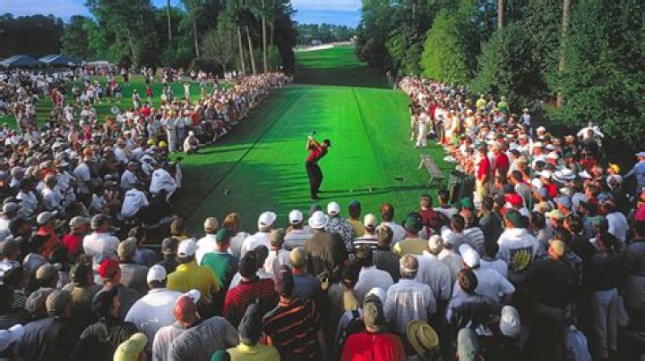 Tiger Woods' return sees huge betting influx for Genesis