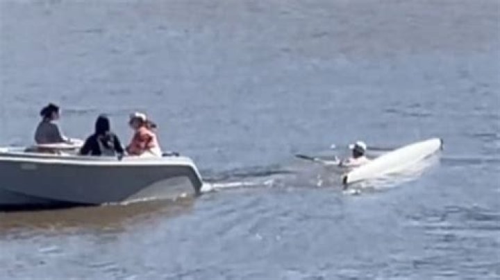 Tik Tok video captures collision between hire boat, rower on Melbourne’s busy Yarra River