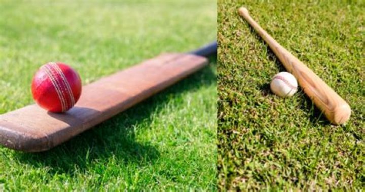What's actually the best material for baseball and cricket bats?
