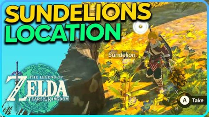 Where to Locate Sundelion in Zelda: Tears of the Kingdom