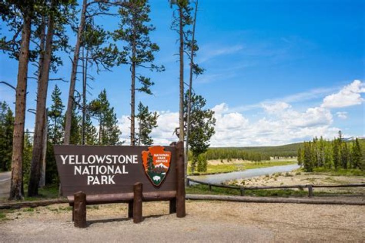 Woman found dead after suspected bear encounter near Yellowstone, wildlife officials say