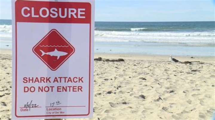 Woman speaks out from hospital bed after apparent shark attack in Southern California